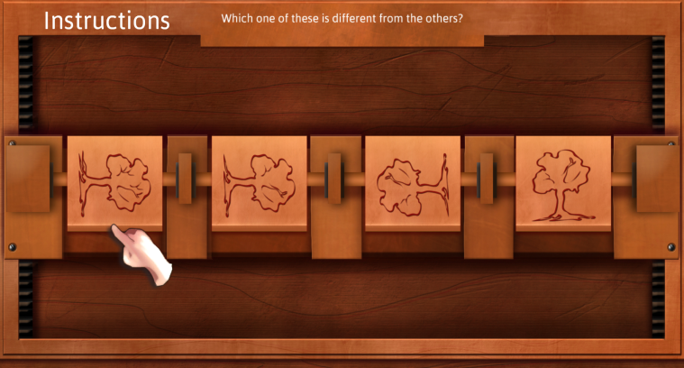 Spatial Orientation/Visual Perception Test 
